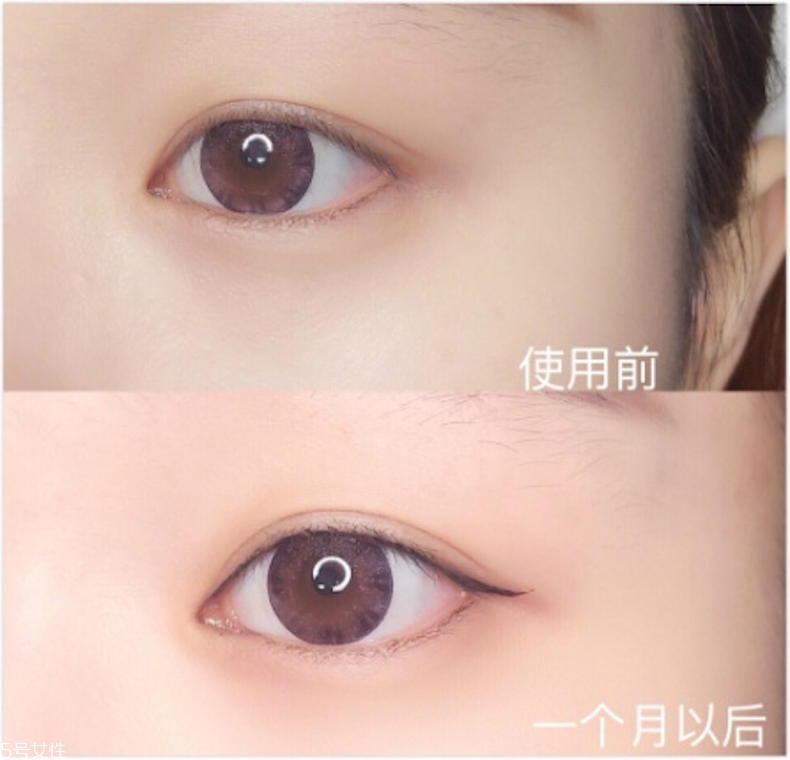 眼唇霜哪個牌子好 希思黎vs赫蓮娜vs怡麗絲爾 眼唇霜哪個牌子好 希思黎vs赫蓮娜vs怡麗絲爾