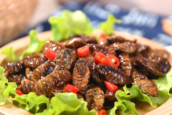 蠶蛹是發(fā)物嗎 屬于發(fā)物 蠶蛹是發(fā)物嗎 屬于發(fā)物