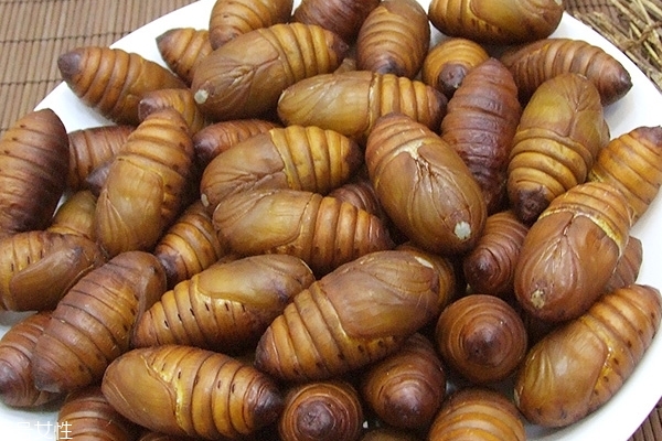 蠶蛹怎么保存 保存方法很簡(jiǎn)單