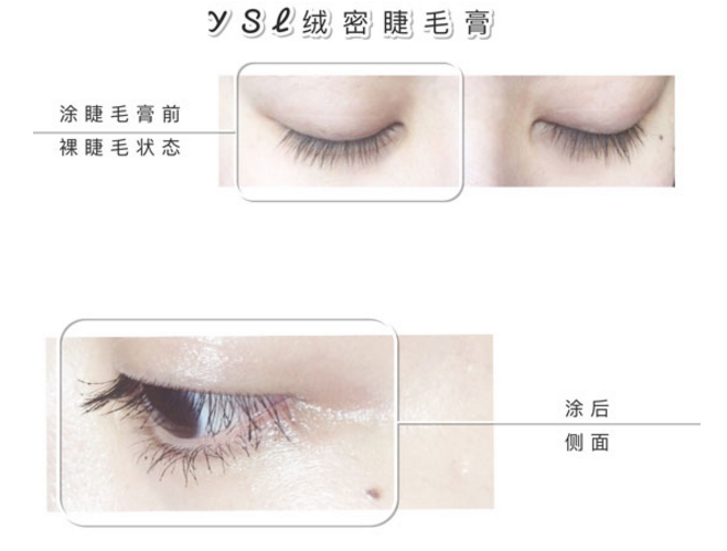 哪種睫毛膏的效果最好 十款熱門睫毛膏評測 哪種睫毛膏的效果最好 十款熱門睫毛膏評測