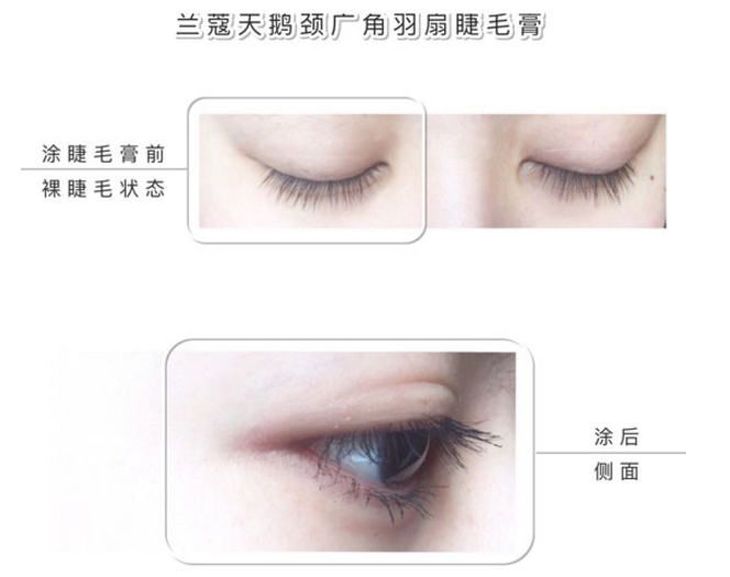 哪種睫毛膏的效果最好 十款熱門睫毛膏評測 哪種睫毛膏的效果最好 十款熱門睫毛膏評測