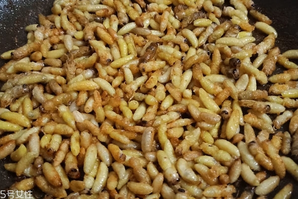 蜂蛹能和雞蛋一起吃嗎 這個(gè)搭配可以的 蜂蛹能和雞蛋一起吃嗎 這個(gè)搭配可以的