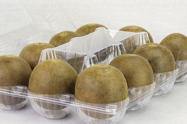 羅漢果怎么吃 五個(gè)吃法教給你 羅漢果怎么吃 五個(gè)吃法教給你