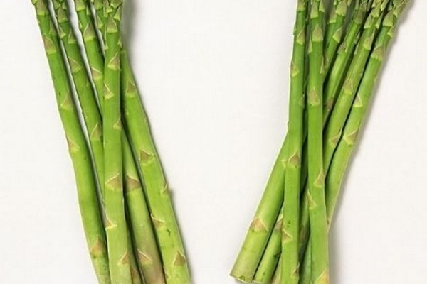 蘆筍是竹筍嗎 不要傻傻分不清 蘆筍是竹筍嗎 不要傻傻分不清