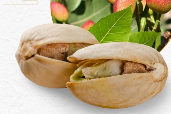 開心果為什么是咸的 因?yàn)榧庸み^(guò)