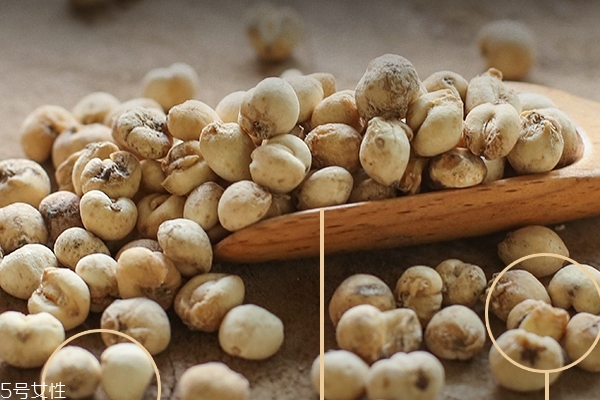 川貝為什么那么貴 原來(lái)是這個(gè)原因 川貝為什么那么貴 原來(lái)是這個(gè)原因