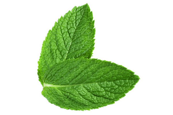 眼袋黑眼圈怎么消除 教你恢復(fù)魅力電眼 眼袋黑眼圈怎么消除 教你恢復(fù)魅力電眼