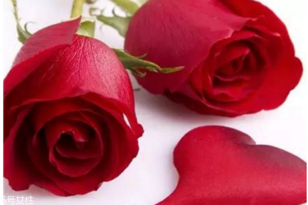 皮膚暗黃黑眼圈重怎么辦 魅力電眼輕松養(yǎng)成 皮膚暗黃黑眼圈重怎么辦 魅力電眼輕松養(yǎng)成