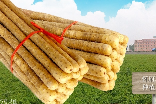 山藥怎么保存 最詳細(xì)的保存方法 山藥怎么保存 最詳細(xì)的保存方法