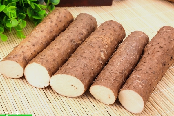 山藥怎么保存 最詳細(xì)的保存方法 山藥怎么保存 最詳細(xì)的保存方法