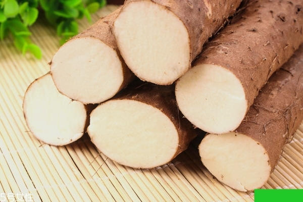 山藥怎么保存 最詳細(xì)的保存方法 山藥怎么保存 最詳細(xì)的保存方法