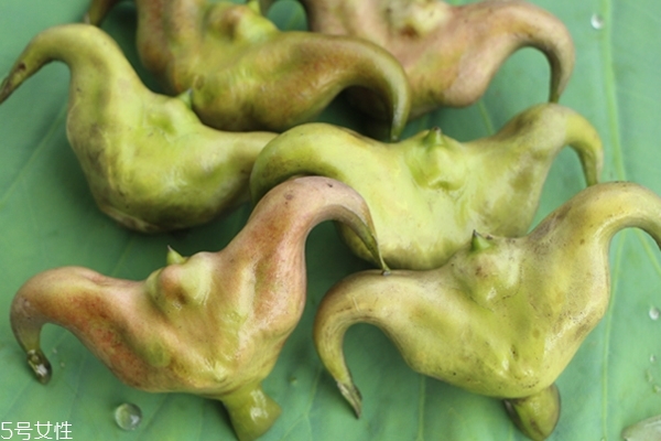 菱角沒煮熟可以吃嗎 這個有講究 菱角沒煮熟可以吃嗎 這個有講究