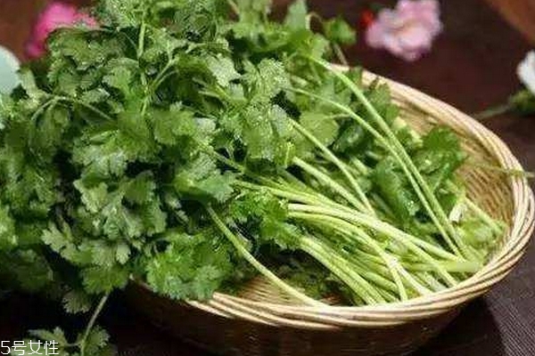 香菜會(huì)殺精嗎 沒有真實(shí)依據(jù) 香菜會(huì)殺精嗎 沒有真實(shí)依據(jù)