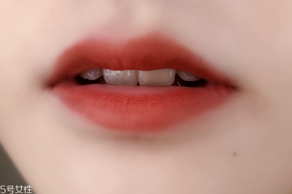 雅詩蘭黛唇釉307黃皮上嘴圖 美過秋日紅葉 雅詩蘭黛唇釉307黃皮上嘴圖 美過秋日紅葉