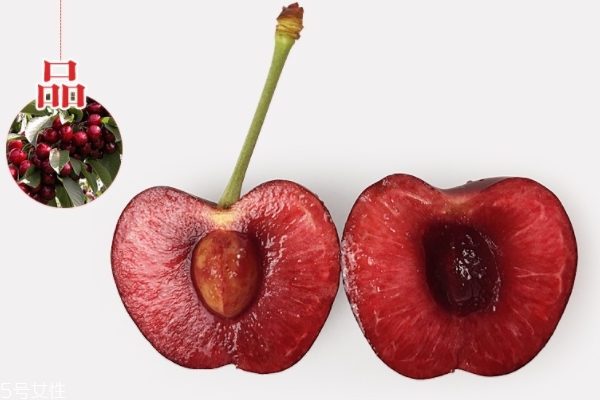 車厘子有什么品種 車厘子知識科普