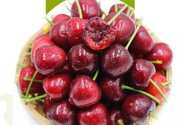 車厘子有什么品種 車厘子知識科普