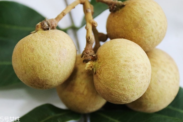 龍眼為什么四季都有 反季節(jié)龍眼 龍眼為什么四季都有 反季節(jié)龍眼