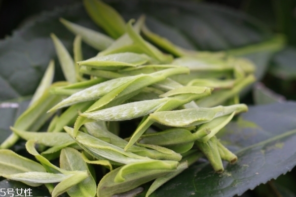 白茶多少度水泡 最好是100度 白茶多少度水泡 最好是100度