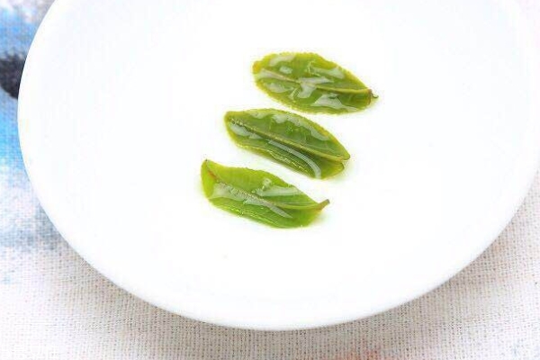 六安瓜片怎么保存 4個(gè)保存方法 六安瓜片怎么保存 4個(gè)保存方法