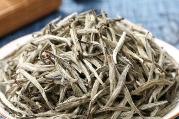 白毫銀針怎么鑒別真假 這三個方法就夠了 白毫銀針怎么鑒別真假 這三個方法就夠了