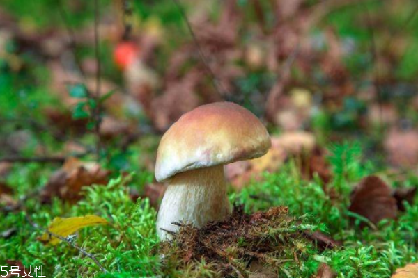 養(yǎng)肝食物推薦 常見肝病演變流程 養(yǎng)肝食物推薦 常見肝病演變流程