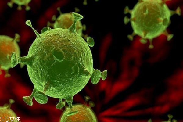 防癌效果好的食物 12原則不是說說 防癌效果好的食物 12原則不是說說