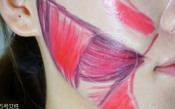 萬(wàn)圣節(jié)妝容可愛(ài) 萬(wàn)圣節(jié)特蕾婭妝容教程 萬(wàn)圣節(jié)妝容可愛(ài) 萬(wàn)圣節(jié)特蕾婭妝容教程