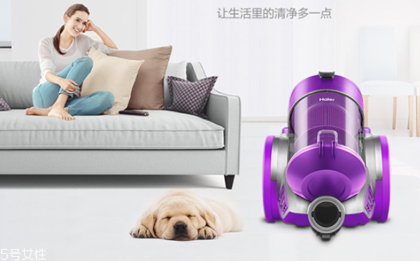 家用吸塵器什么牌子好 家用吸塵器選擇 家用吸塵器什么牌子好 家用吸塵器選擇