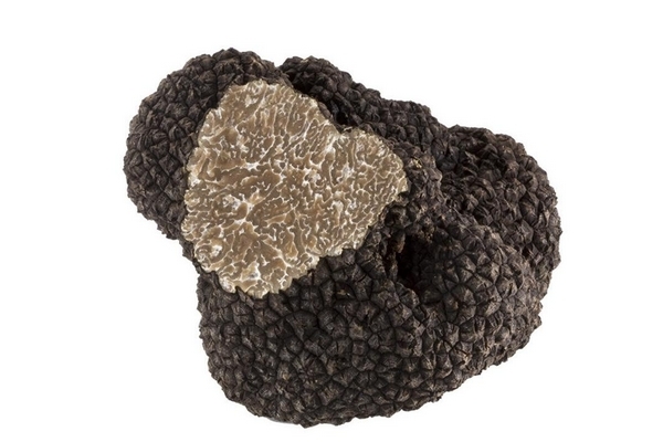 松露要去皮嗎 不需要這樣做 松露要去皮嗎 不需要這樣做