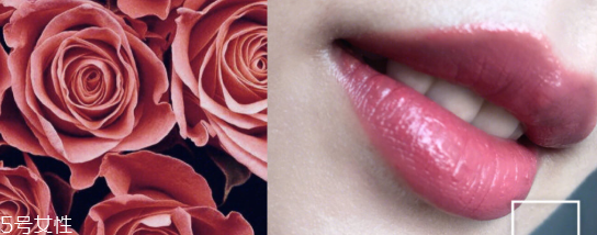 香奈兒口紅69和118哪個好看 香奈兒69和118對比圖 香奈兒口紅69和118哪個好看 香奈兒69和118對比圖