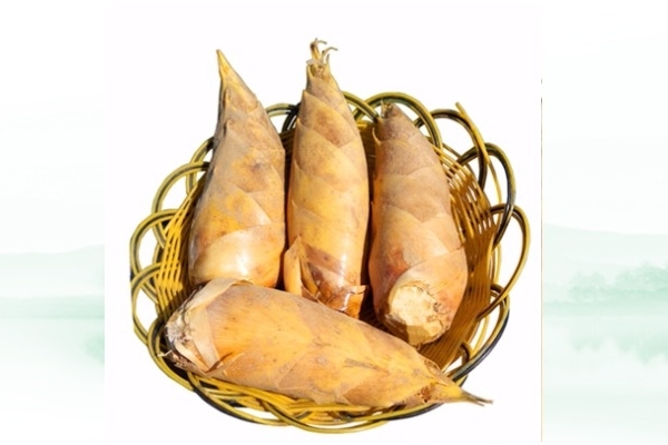 冬筍怎么處理 這樣處理才對(duì) 冬筍怎么處理 這樣處理才對(duì)