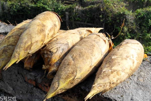 冬筍怎么處理 這樣處理才對(duì) 冬筍怎么處理 這樣處理才對(duì)