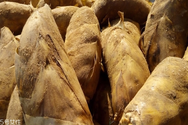冬筍怎么儲存 三個方法教給你 冬筍怎么儲存 三個方法教給你