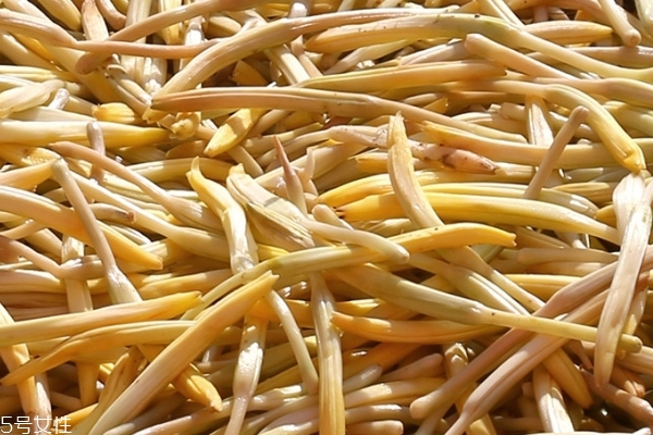 黃花菜有什么營(yíng)養(yǎng) 營(yíng)養(yǎng)多多 黃花菜有什么營(yíng)養(yǎng) 營(yíng)養(yǎng)多多