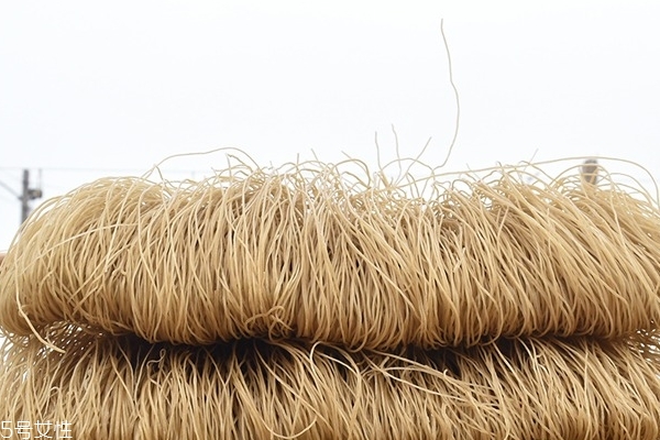 粉絲能多吃嗎 最好別多吃 粉絲能多吃嗎 最好別多吃