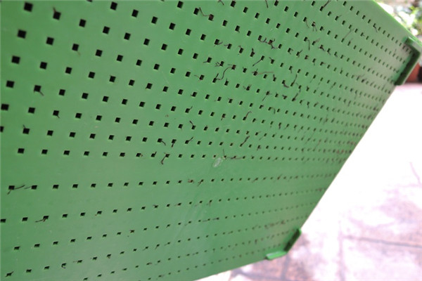 在家自制葵花籽芽方法步驟 在家自制葵花籽芽方法步驟