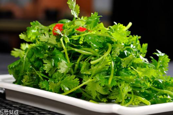 香菜的營養(yǎng)價(jià)值 吃香菜注意事項(xiàng)