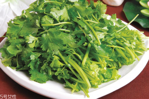 香菜的營養(yǎng)價(jià)值 吃香菜注意事項(xiàng)