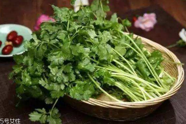 香菜的營養(yǎng)價(jià)值 吃香菜注意事項(xiàng)