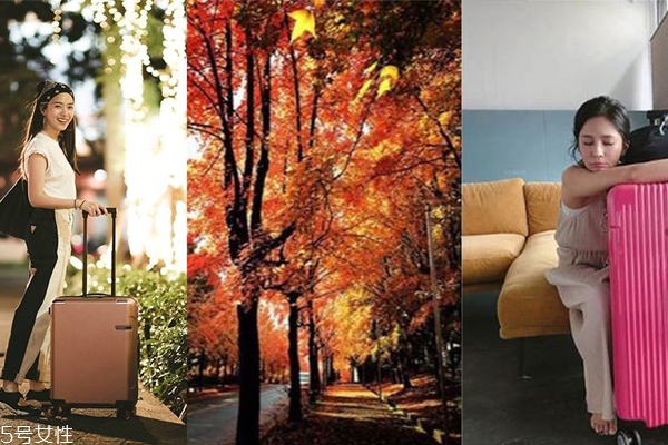 秋天去哪個(gè)國(guó)家旅游比較好 這三大國(guó)家超適合秋天去 秋天去哪個(gè)國(guó)家旅游比較好 這三大國(guó)家超適合秋天去