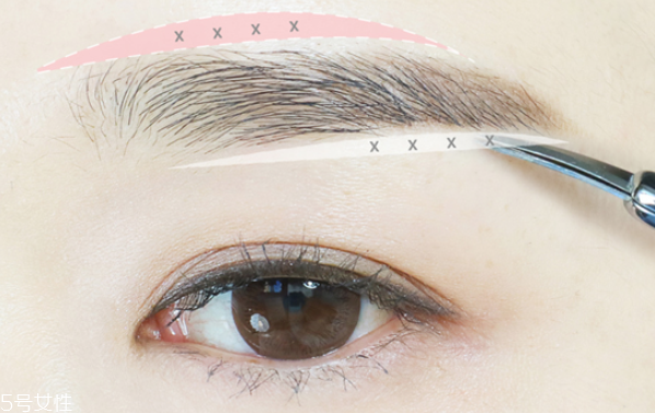 秋天畫什么眉毛好看 眉毛畫法教程 秋天畫什么眉毛好看 眉毛畫法教程