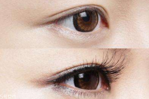 怎么樣讓睫毛變長 使睫毛增長的有效方法 怎么樣讓睫毛變長 使睫毛增長的有效方法