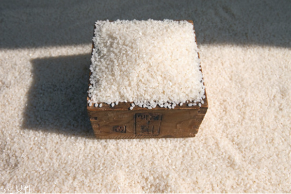 淘米水洗臉可以用洗面奶嗎 淘米水洗臉的危害 淘米水洗臉可以用洗面奶嗎 淘米水洗臉的危害