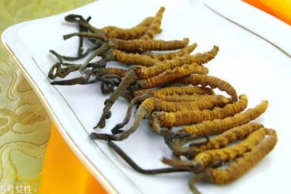 冬蟲(chóng)夏草的功效作用與知識(shí)要點(diǎn) 冬蟲(chóng)夏草的功效作用與知識(shí)要點(diǎn)