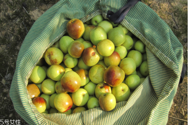 冬棗是熱性還是涼性 冬棗和紅棗的區(qū)別 冬棗是熱性還是涼性 冬棗和紅棗的區(qū)別