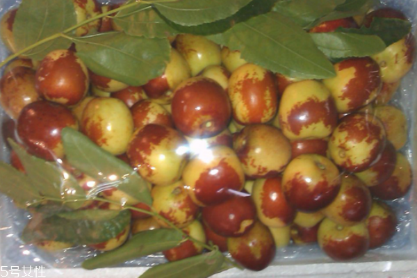 冬棗洗過(guò)之后變紅色是為什么 吃冬棗的副作用及壞處 冬棗洗過(guò)之后變紅色是為什么 吃冬棗的副作用及壞處