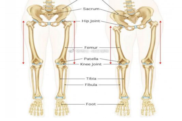 長(zhǎng)短腿怎么矯正 長(zhǎng)短腿的危害 長(zhǎng)短腿怎么矯正 長(zhǎng)短腿的危害