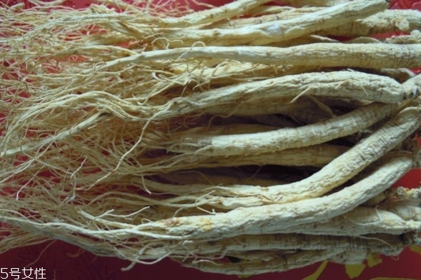 冬季養(yǎng)生補(bǔ)品人參你知道多少 冬季養(yǎng)生補(bǔ)品人參你知道多少