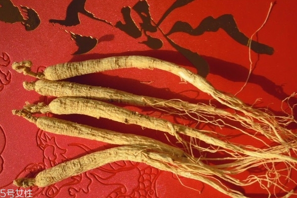 冬季養(yǎng)生補(bǔ)品人參你知道多少 冬季養(yǎng)生補(bǔ)品人參你知道多少
