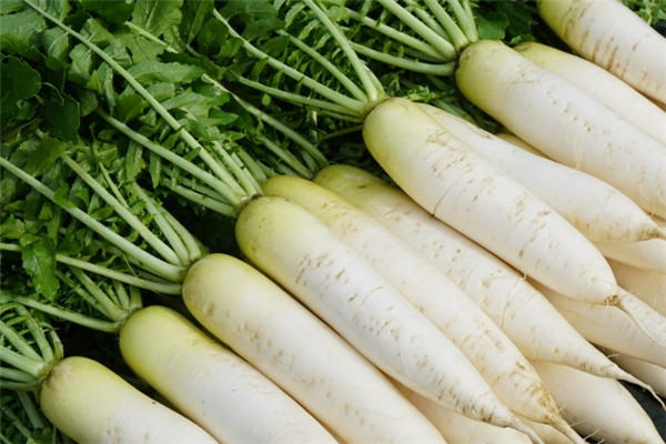 白蘿卜丸子怎么做好吃 口感糯而不膩 白蘿卜丸子怎么做好吃 口感糯而不膩